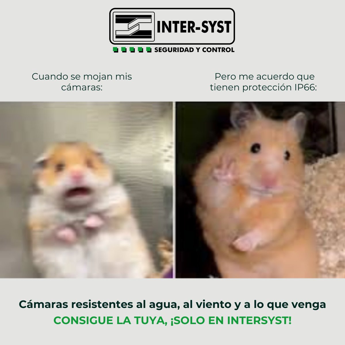 Intersyst_MX's tweet image. En esta temporada de lluvias 🌧️... Que nada te impida estar protegido😎

Las mejores cámaras de seguridad están solo en INTERSYST

#Seguridad #INTERSYST #Meme