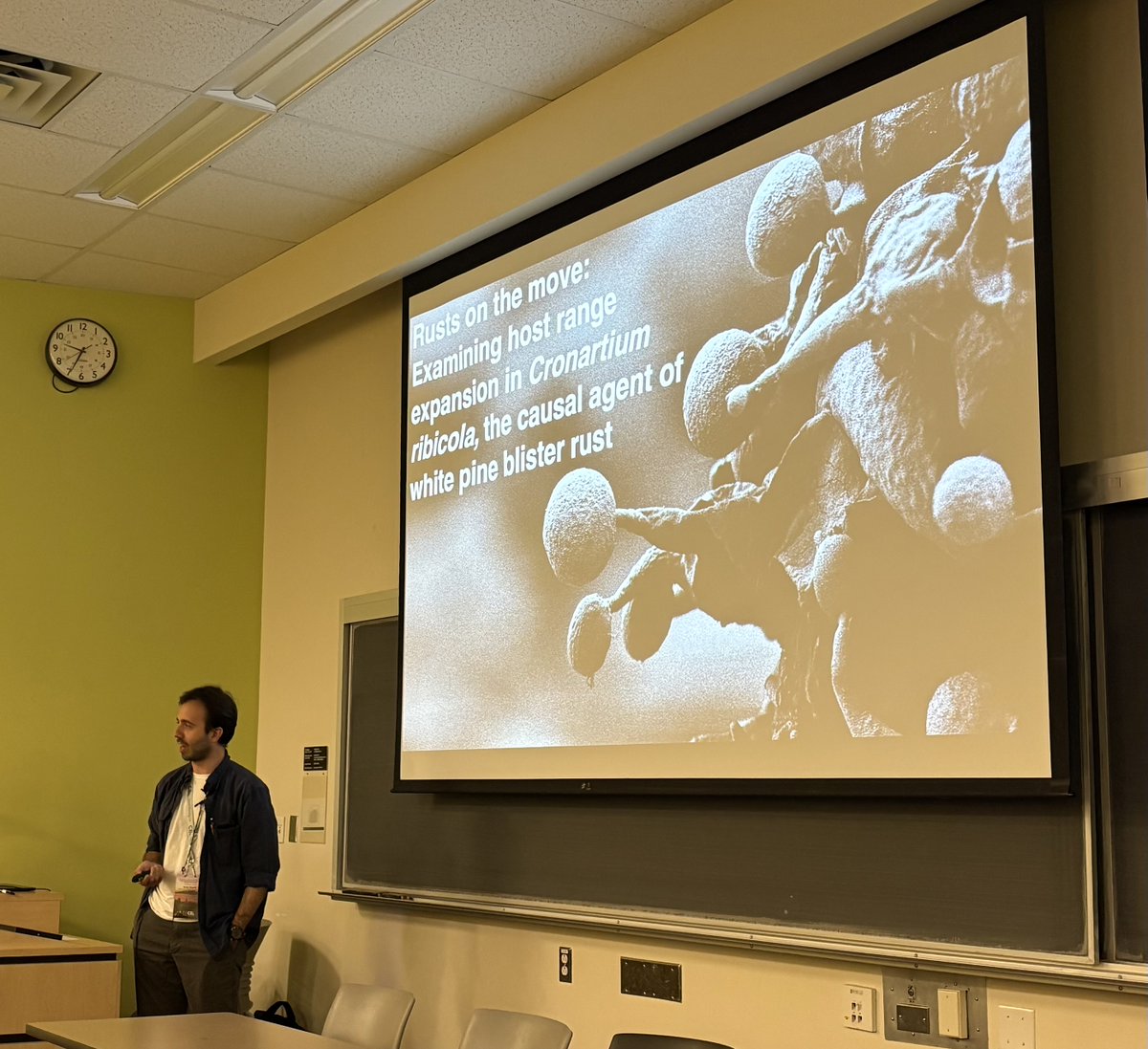 richamelin's tweet photo. With the right picture: Great talk by Brian Duarte on white pine blister rust evolution #treedisease #foresthealth #invasivespecies #cps2025 @phytopathca @UBC https://t.co/yfmL6Kl8WO