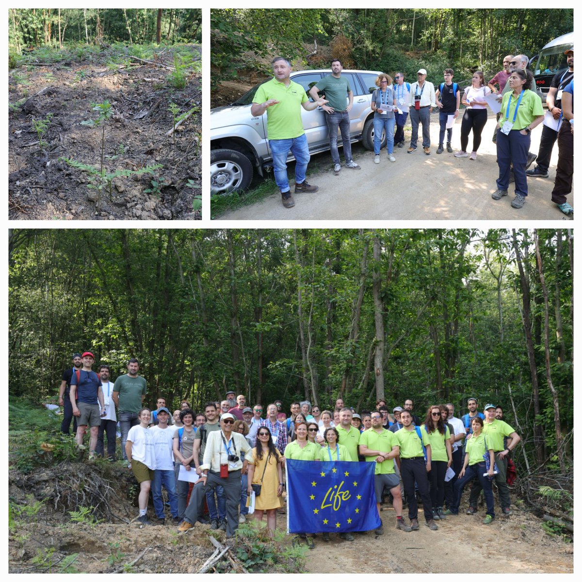 Visitando las parcelas demostrativas del <a href="/carbon2mine/">carbon2mine</a> en el viaje de selvicultura de #Frondosas organizado por <a href="/asun_camara/">asun camara</a> en el marco del #9CFE. Lo hemos pasado genial conociendo el trabajo de selvicultura de detalle en frondosas  realizado por Borja