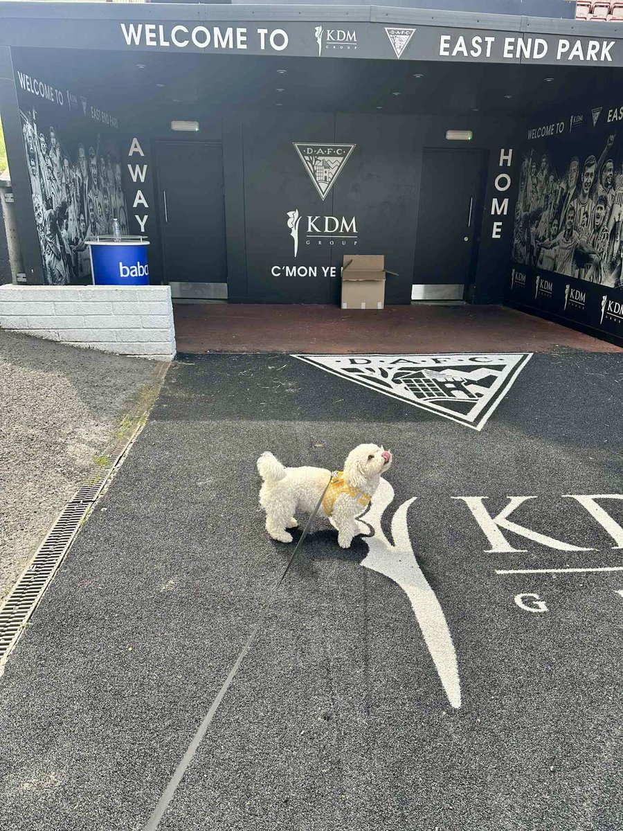 Kirsty Oliphant tweet media