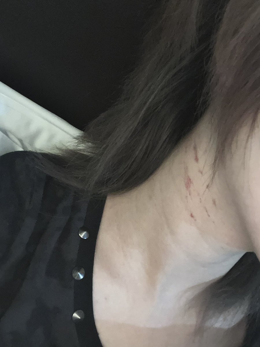 Haveen狐狸 tweet media