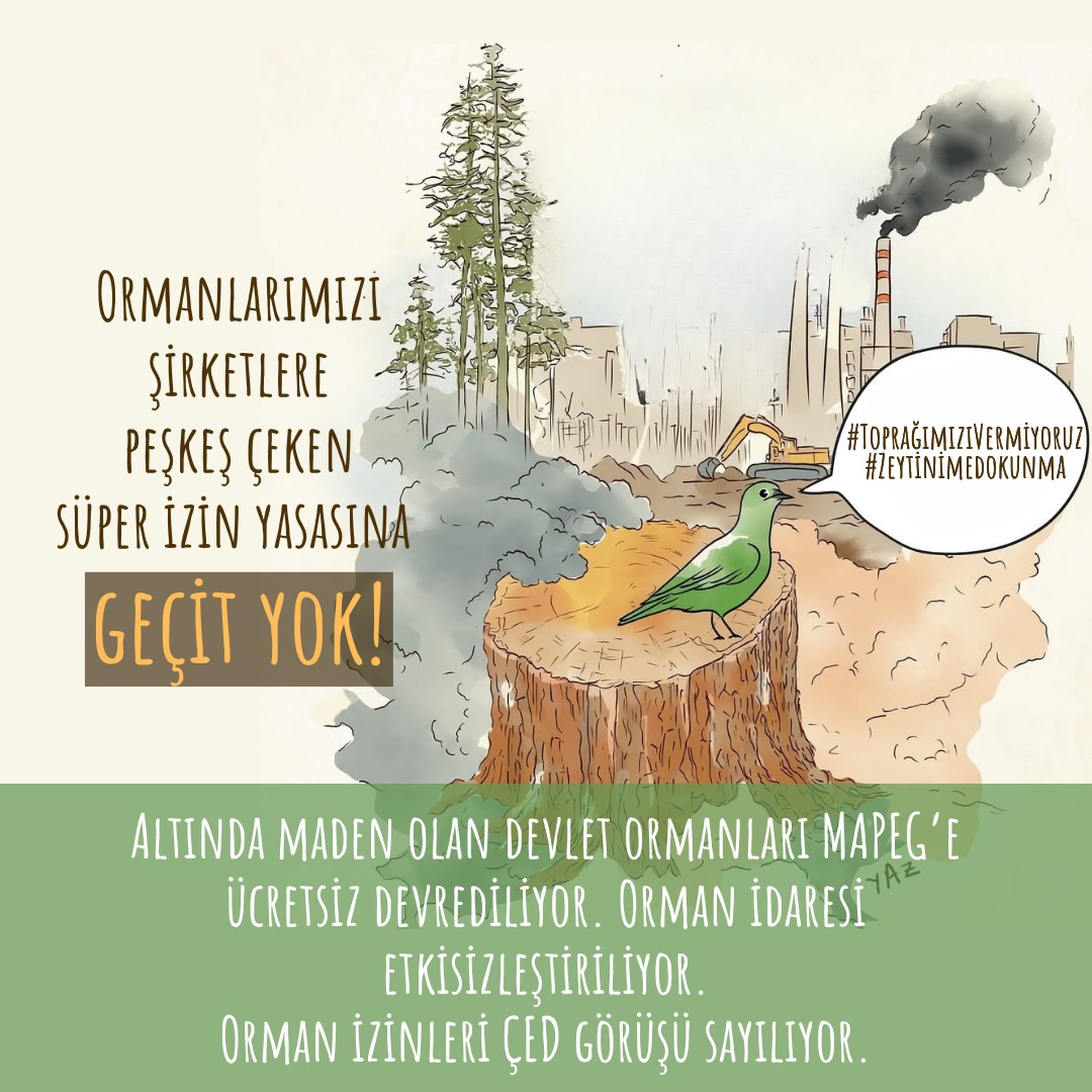 Ormanlarımızı şirketlere peşkeş çeken süper izin yasasına geçit yok!
Altında maden olan devlet ormanları MAPEG’e ücretsiz devrediliyor. Orman idaresi etkisizleştiriliyor. Orman izinleri ÇED görüşü sayılıyor.
#ZeytinimeDokunma
#ToprağımızıVermiyoruz