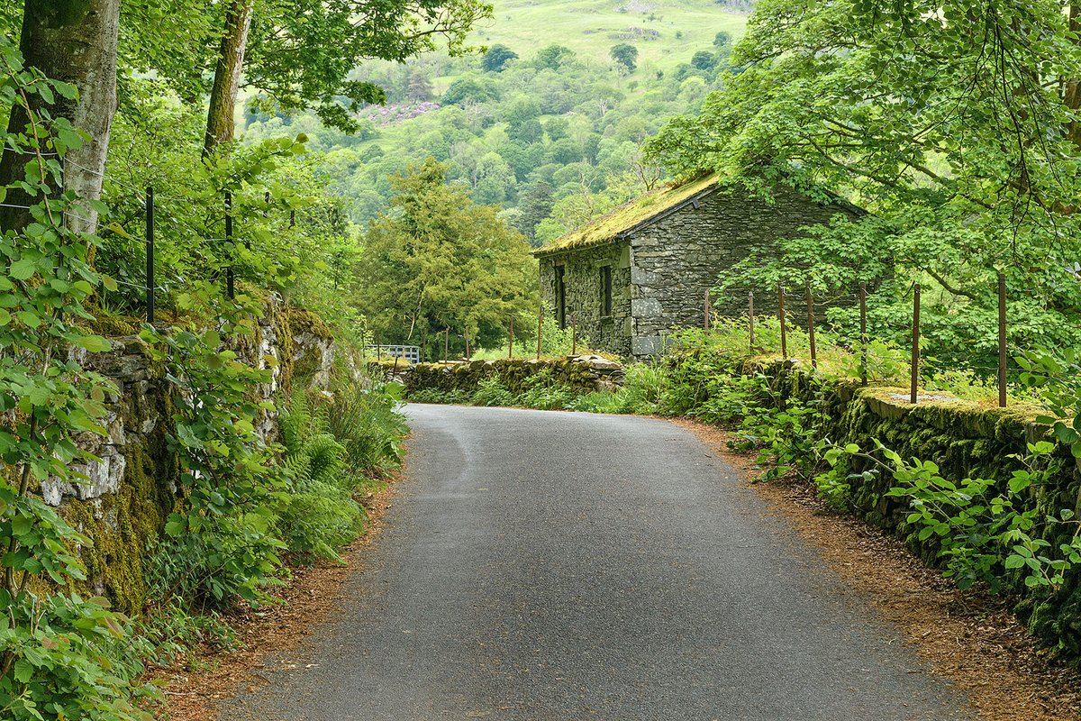 YorkshireLass (@maureenplatts) on Twitter photo 