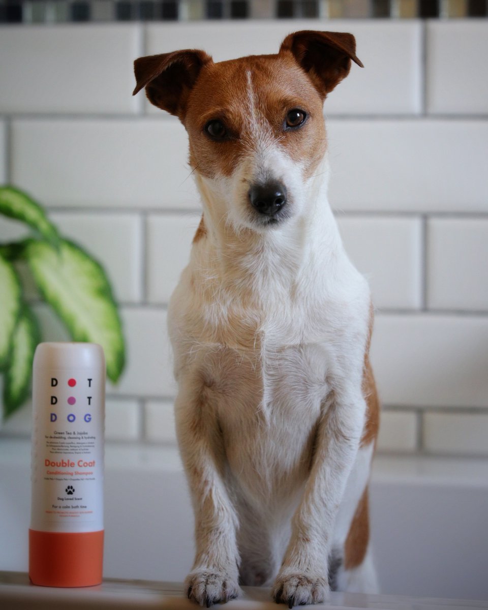 Dotty4Paws (@dotty4paws) on Twitter photo For every W-A-L-K, there’s a B-A-T-H! 🛁
Now, your pup might actually look forward to bath time with <a href="/dotdotpet/">Dot Dot Pet</a>’s natural dog shampoo! 🌿
Packed with vegan ingredients and free from nasties, it cleans without harsh chemicals
dotty4paws.co.uk/product/dot-do…
#WomanInBizhour For every W-A-L-K, there’s a B-A-T-H! 🛁
Now, your pup might actually look forward to bath time with <a href="/dotdotpet/">Dot Dot Pet</a>’s natural dog shampoo! 🌿
Packed with vegan ingredients and free from nasties, it cleans without harsh chemicals
dotty4paws.co.uk/product/dot-do…
#WomanInBizhour