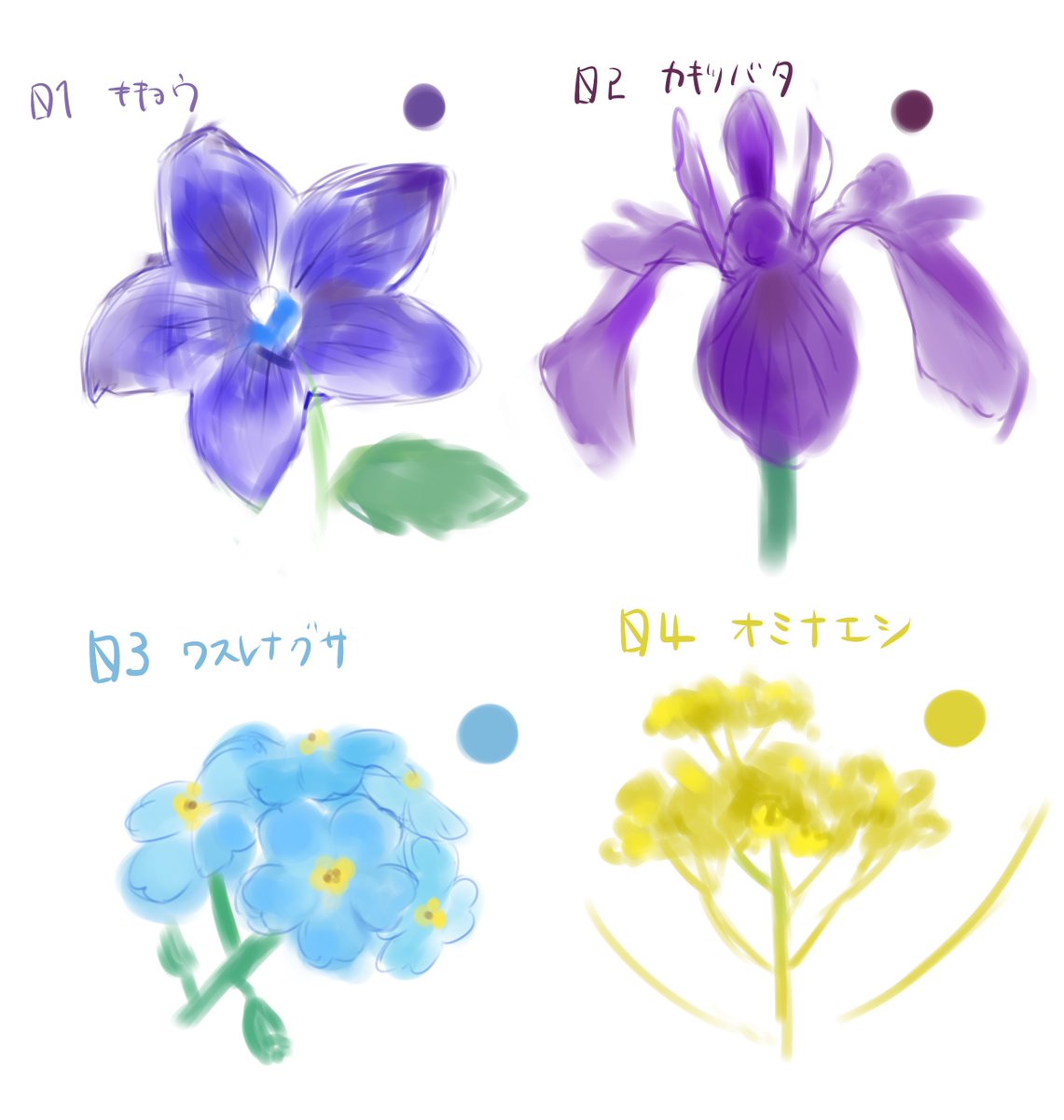 nyumeron3's tweet image. 色名と植物のスケッチ