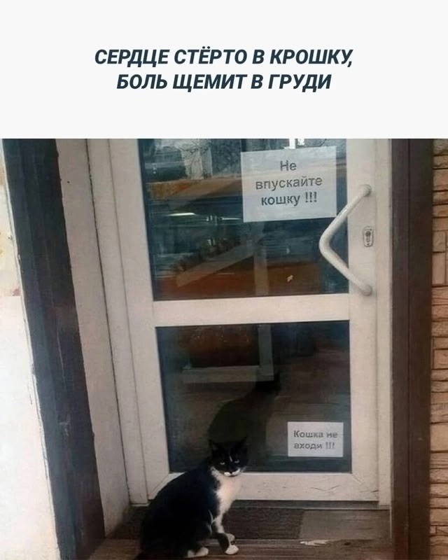 MCMLXXXIV™ tweet media