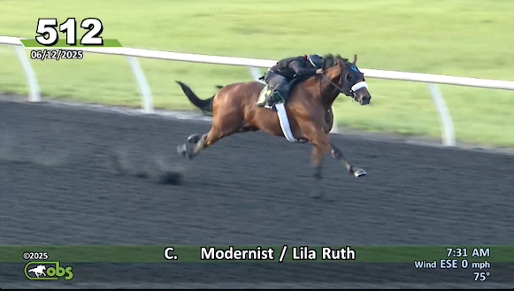 Justify👑 tweet media