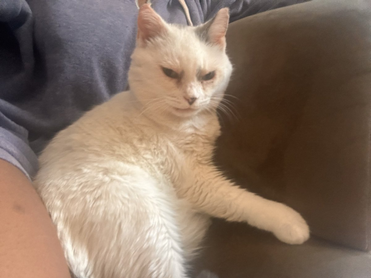 yoongitjot's tweet image. #nocaption