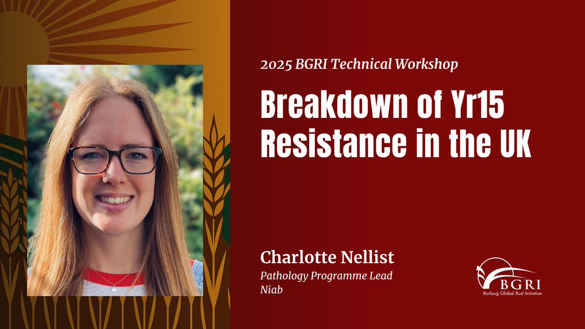 Happening now at #ICRPMC2025

Charlotte Nellist <a href="/nellic_/">Charlotte Nellist</a> of <a href="/niabgroup/">Niab</a> reports the 1st confirmed breakdown of Yr15 resistance in the UK. New pathotypes of yellow rust are overcoming this key gene in widely grown wheat varieties and raising major concerns for resistance durability