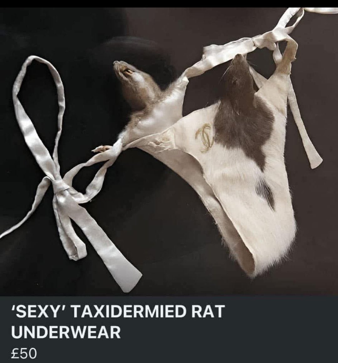 ppigg (@s4m31p4n) on Twitter photo 