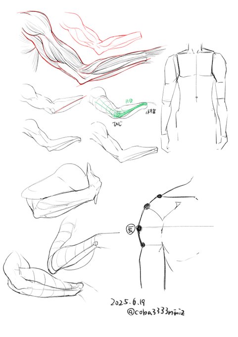 模写やってました 
