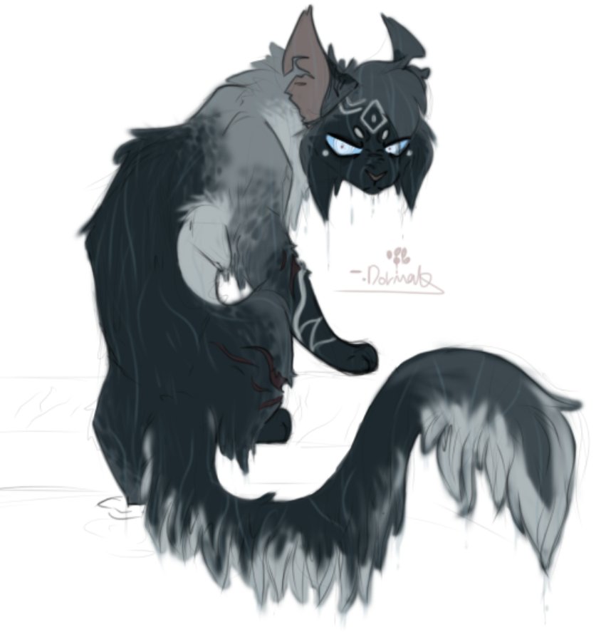 doormantt's tweet photo. Warrior kitty oc 
.
#warriorcats https://t.co/XIC0Fa40C9