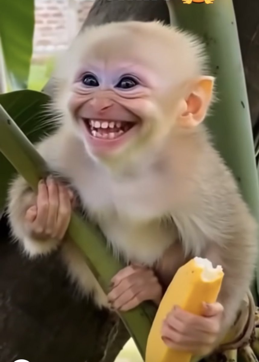 Ese baguhaye ikara ubona hari umutweep warikubita kumunwa?😂
N'ibindi ushaka bivuge 😅
