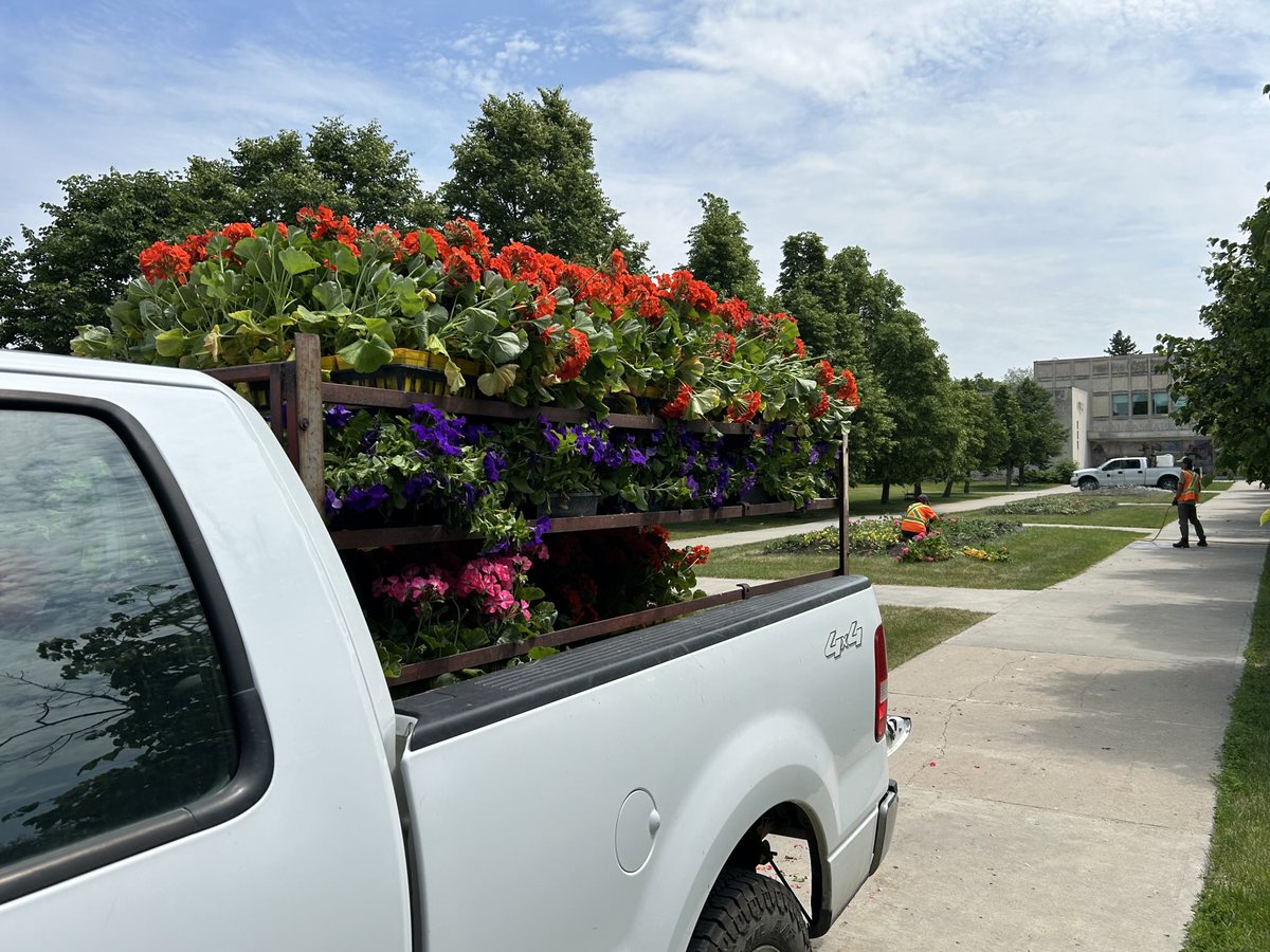 WayneMantykaCTV's tweet image. Flowers by the truckload are arriving in Wascana Park with spring planting underway. About 70,000 flowers are planted each year in the park and at Government House.