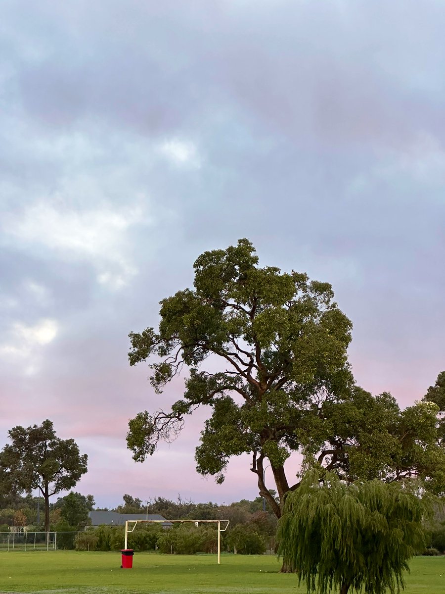 <a href="/weather_wa/">Weather WA</a> <a href="/perthovalman/">paul gallagher</a> <a href="/drstip/">Dr 'Variant of Concern' Stip #BLM 😷🌈 🧶☠️ ☢️</a> <a href="/speedbird020/">Alex 🇭🇲</a> <a href="/floyds63/">FloydS⚓🌾🤠🏉</a> <a href="/ImTheOnlyAstro/">TheOnlyAstro</a> <a href="/MJG_1990/">Michael</a> <a href="/coffeevanishere/">thecoffeevanishere</a> <a href="/baxlex/">Scott</a> <a href="/ManjitK6987/">💧🎀 Manjit Kaur</a> <a href="/Barnsy_Lisa/">Lisa Barnes</a> <a href="/Sparrow_65/">Sparrow65</a> <a href="/2017Ferret/">The Weather Ferret</a> Morning tweeps

Just a hint of pink in the clouds today