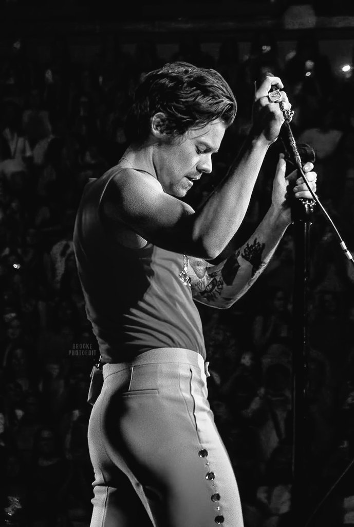 harry Styles pics (@thestylesfandom) on Twitter photo 