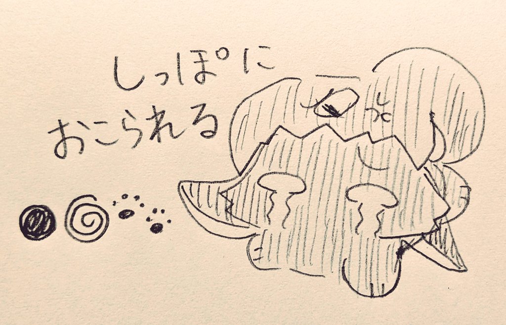 nekosuke4949's tweet photo. https://t.co/m5cShpfsWZ