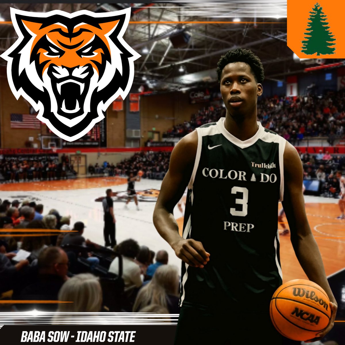 After a great conversation with coach Ryan looney Coach Kastrup and Coach White, I am excited to say I have received my first Division 1 offer from Idaho State University . Thank you to the coaching staff for believing in me.