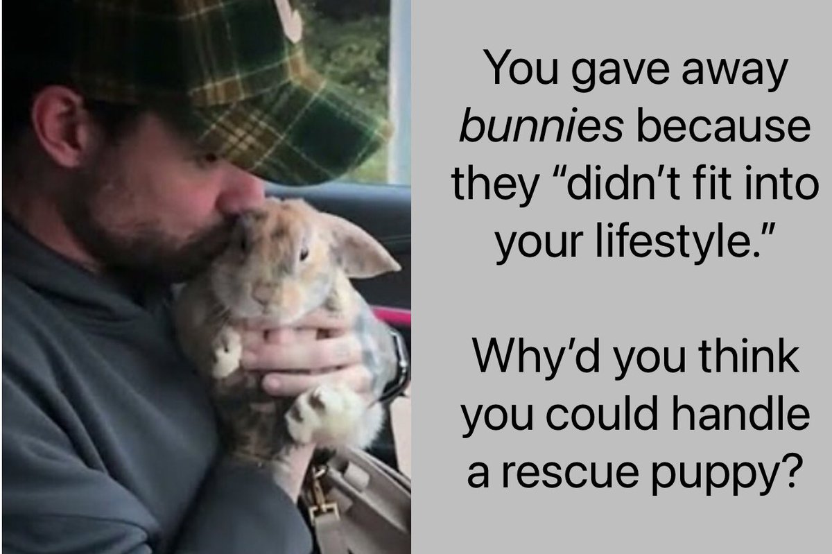 larrytsjwaffle's tweet photo. #ReHomeNala
#FreeNala
#PetsAreNotDisposable
#PetsAreNotProps
A puppy deserves someone who truly wants her, is willing and able to put in the time of training and bonding with her. https://t.co/m4aMu2uoNM
