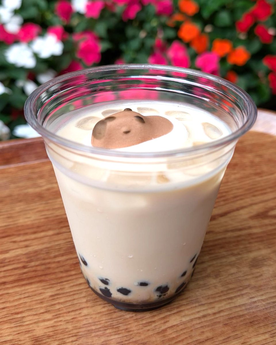 ＼園内売店商品情報／
「カピバラマシュマロのタピオカ黒糖ドリンク￥750(税込)」
再入荷しました！
本日から販売再開いたします！

#カピバラ
#タピオカ
#井の頭自然文化園