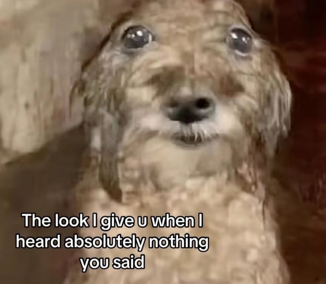 wildtiktokss's tweet image. 