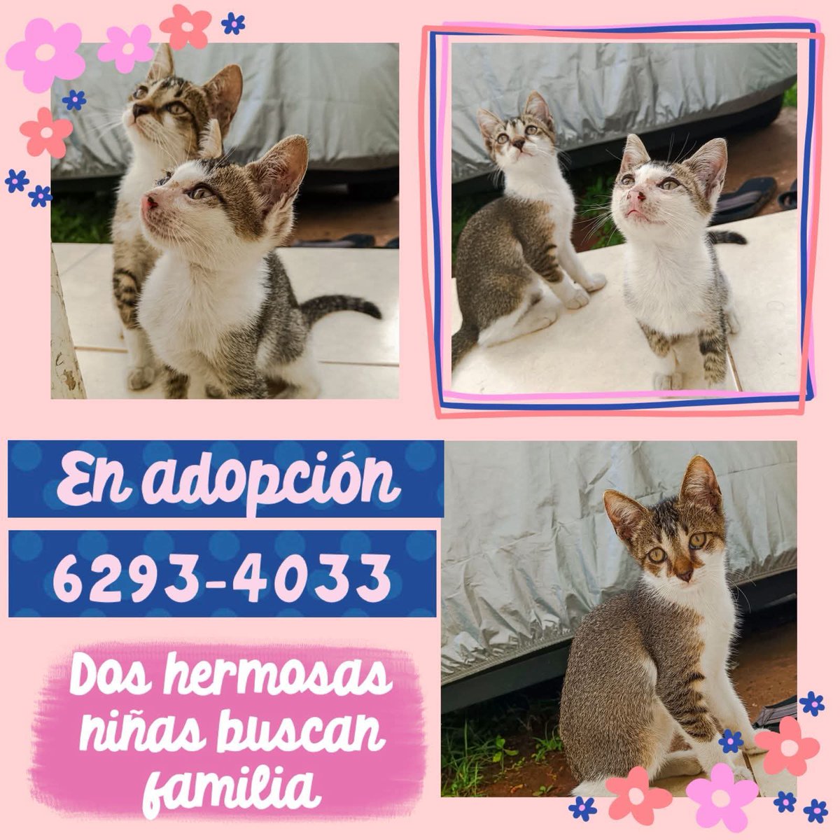 ⬇️⬇️⬇️⬇️