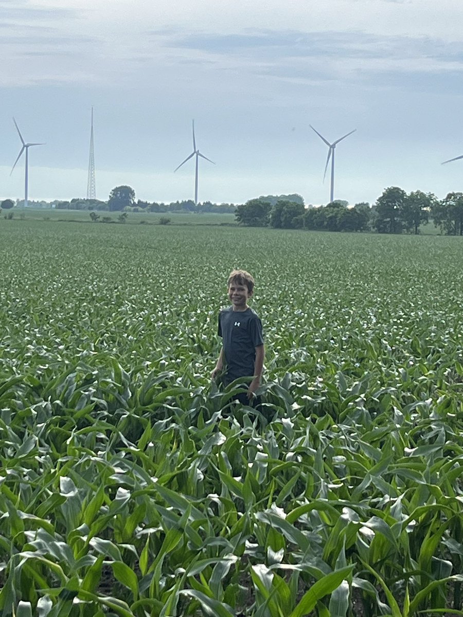 Early planted corn is enjoying the inch of rain it got today … let’s hope no bad storms or any other events hurt it !!