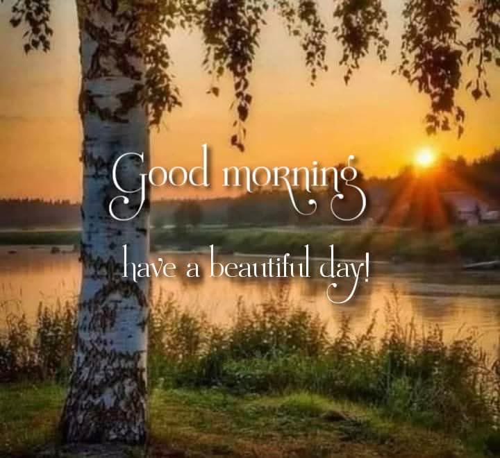 Good Morning 🌄 Sweethearts 🤗🥰🫶👋❤️💕💖