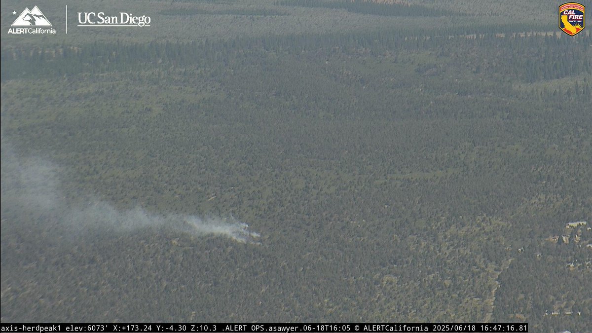 CAWildfiretrack's tweet photo. New start in Siskiyou County in the area of A12 and Highway 97. This will be the #SheepFire and is 1/4 to 1/2 of an acre with a slow rate of spread in grass, sage brush, and juniper.
Structures are located to the NW but are not currently threatened per IC. https://t.co/tGhOBzdiz1