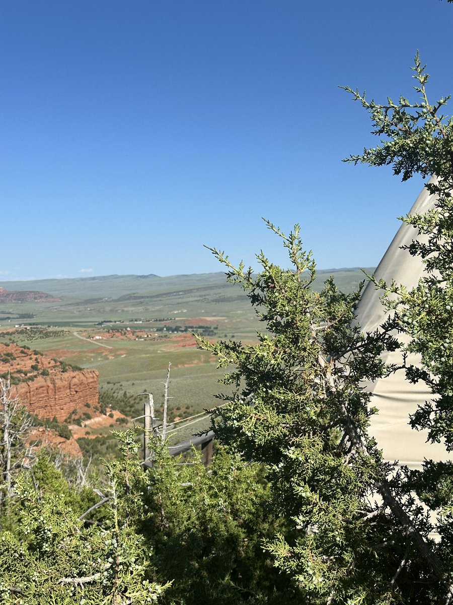 allisonbraley's tweet image. Making my son’s dreams come true with a tipi stay, and a dig with paleontologists.
Trying to teach them to value experiences over things.
