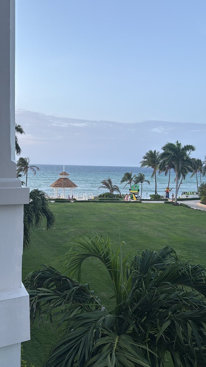 carlaclewis's tweet image. Current view 😍
