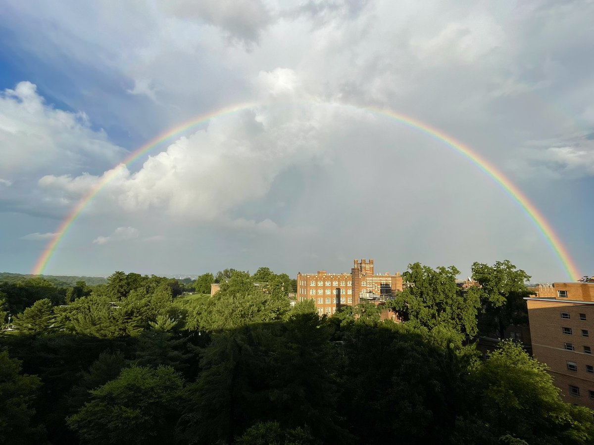 Conthescene's tweet image. Beautiful full rainbow over Rock Creek Park in DC today 馃寛