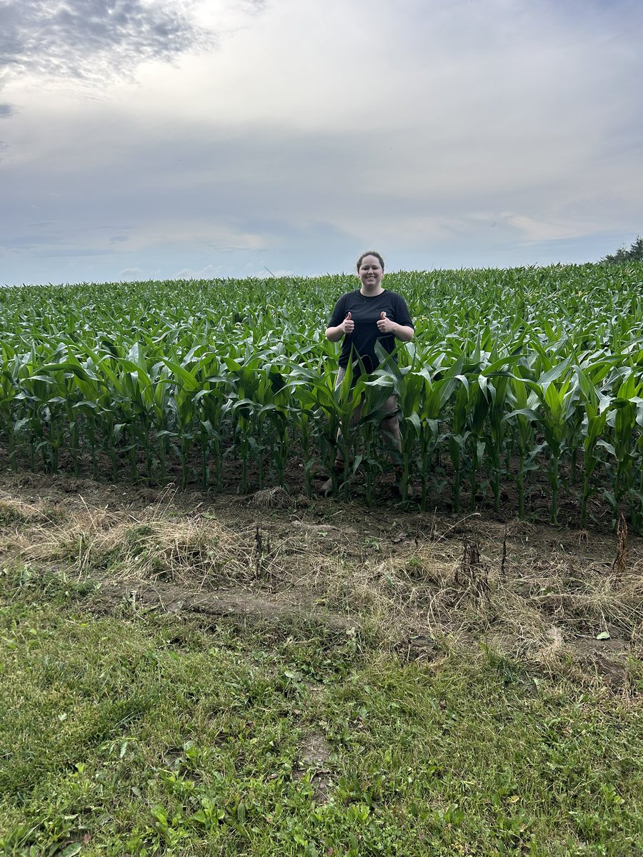 Wow happy with this Dekalb 105 knee high by the middle of June