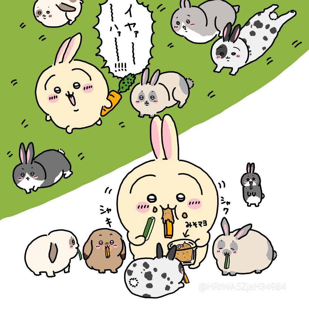rounin_0501's tweet photo. 🐰 https://t.co/mpc5cOG1gS