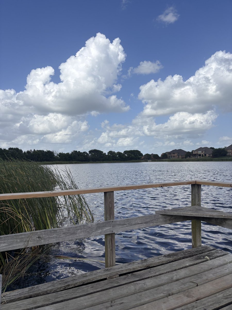 dishnsty's tweet image. 