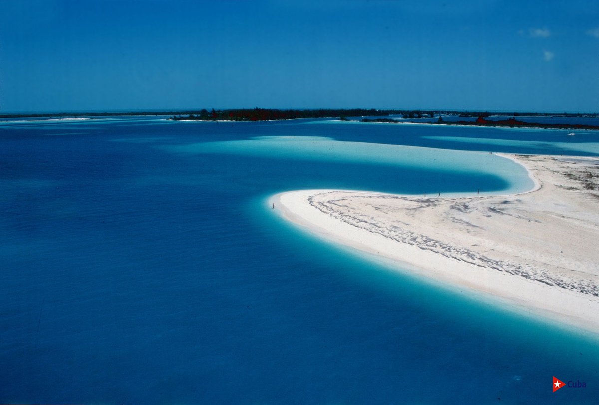MinturCuba's tweet photo. 🌴✨¿Buscas tranquilidad y naturaleza en su máxima expresión? Cayo Largo te espera con sus paisajes únicos y actividades inolvidables. ¡Ven y vive la magia! 🏝️

#TurismoCayoLargo #VacacionesPerfectas #ParaísoCaribeño #SueñosDePlaya #CubaEspectacular  #Cuba #CubaUnica #CubaTravel https://t.co/CdJq201lOf