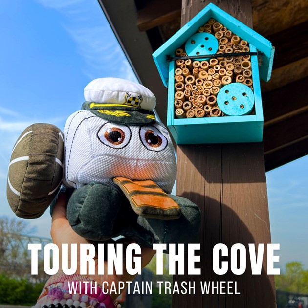 It’s #NationalPollinatorWeek and we’re showing off our buzz-worthy bee hotels at Masonville Cove! 🐝🌼

These cozy homes help solitary pollinators like Mason bees nest and thrive, giving nature a boost, one twig at a time! 🌿