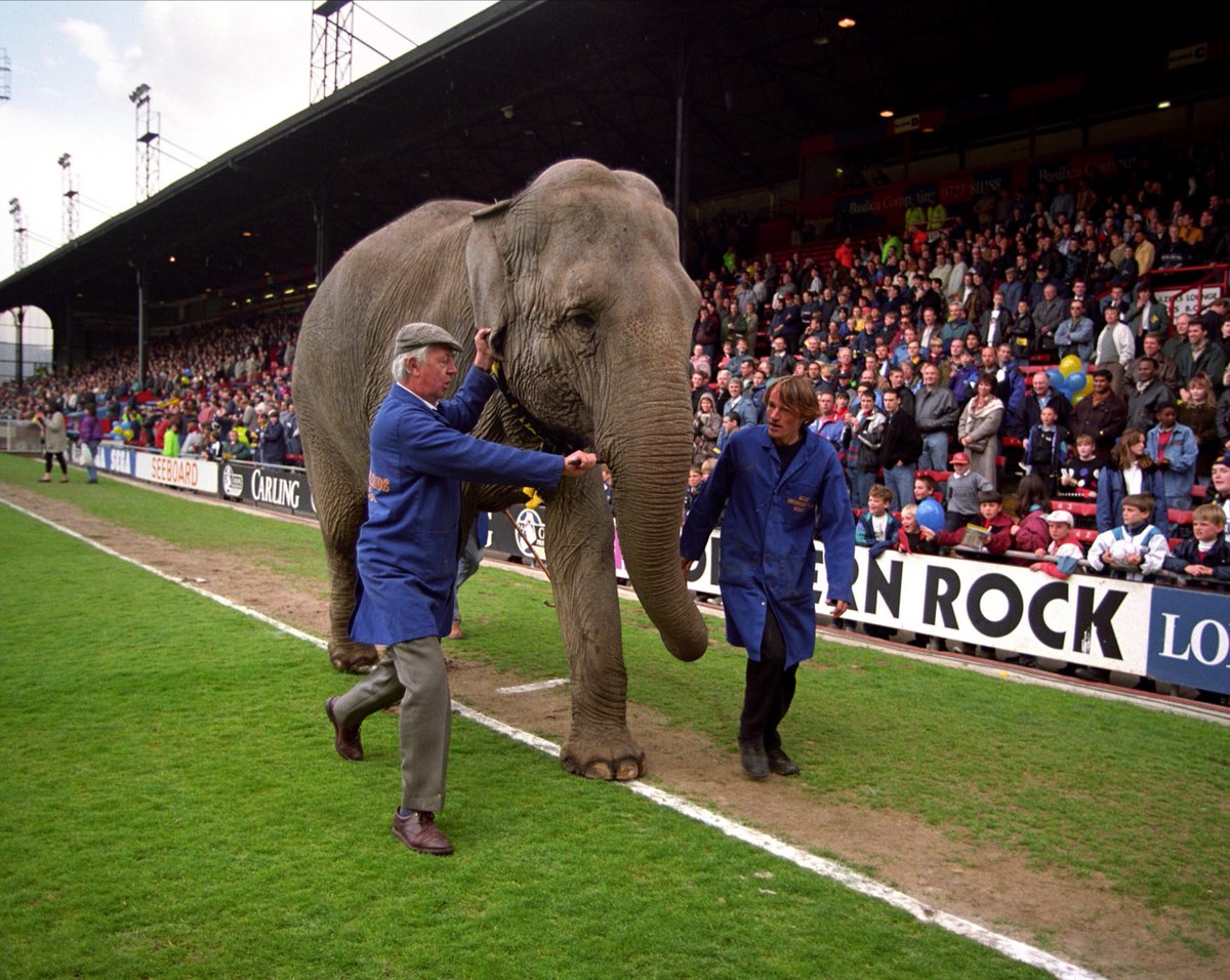Selhurst Park in the Nineties.

Not a phone in sight. Just fans (and elephants) living in the moment.