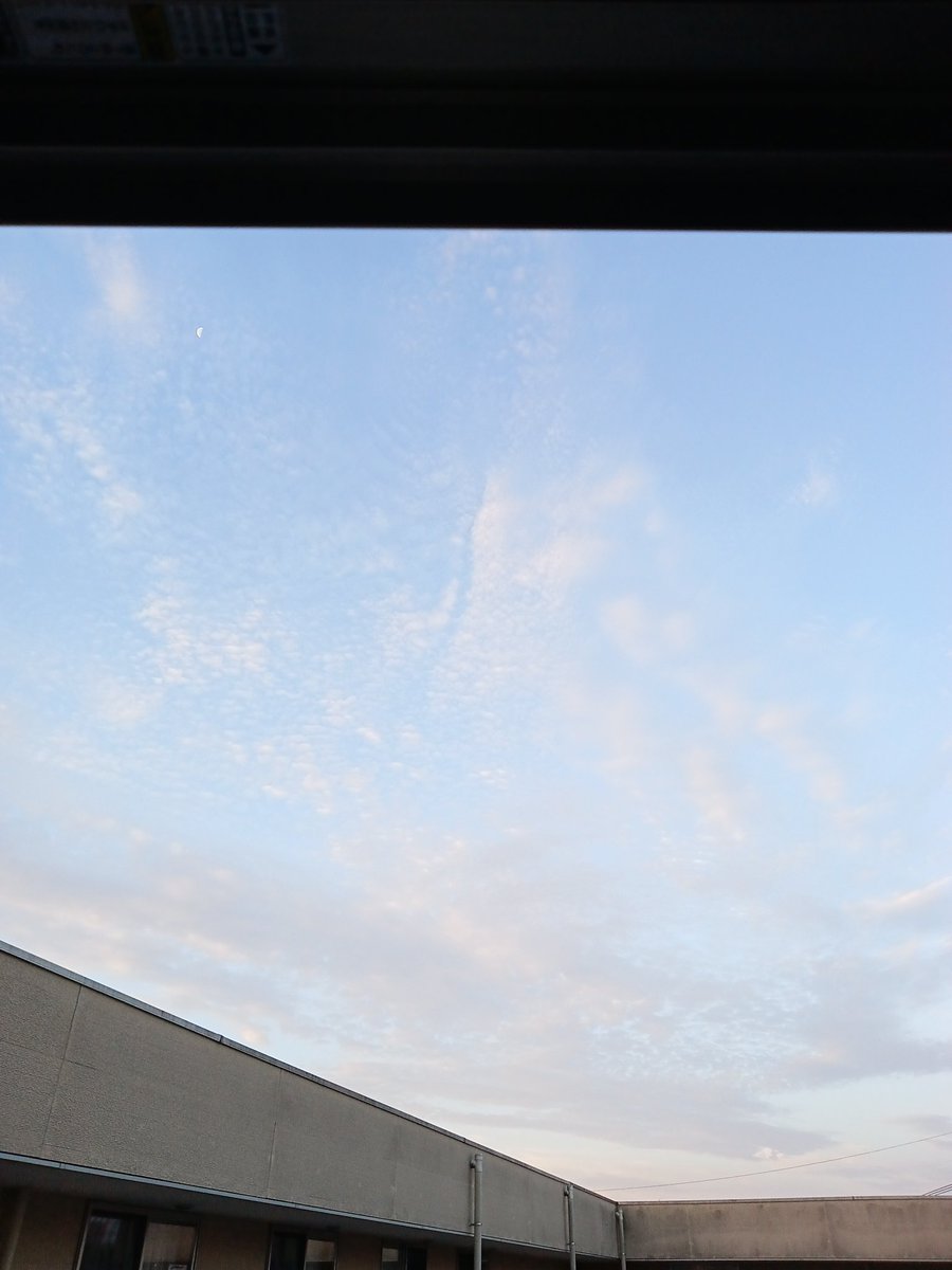 おはようございます＼(^o^)／
今日も宜しくです(⁠＾⁠∇⁠＾⁠)⁠ﾉ⁠♪
晴れた三郷市です(^O^)／
日中も晴れて暑くなるようです💦💦💦
しっかり熱中症対策を🥤🥵👕🕶️☂
無理せずゆっくりマイペースで参りましょう(｀･ω･´)ゞ
事務所に来たらもう人が来てた(^_^;)
頑張らないよ(≧∇≦)b