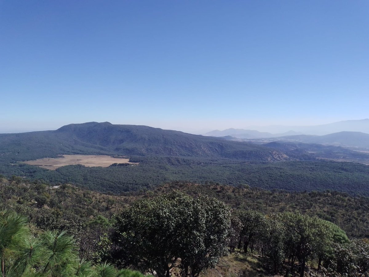 Esta es la vista desde la Torre San Miguel, la elevación más alta dentro del #BosqueLaPrimavera. 🗼

😉Desde aquí estamos alertas ante cualquier reporte de incendios forestales.