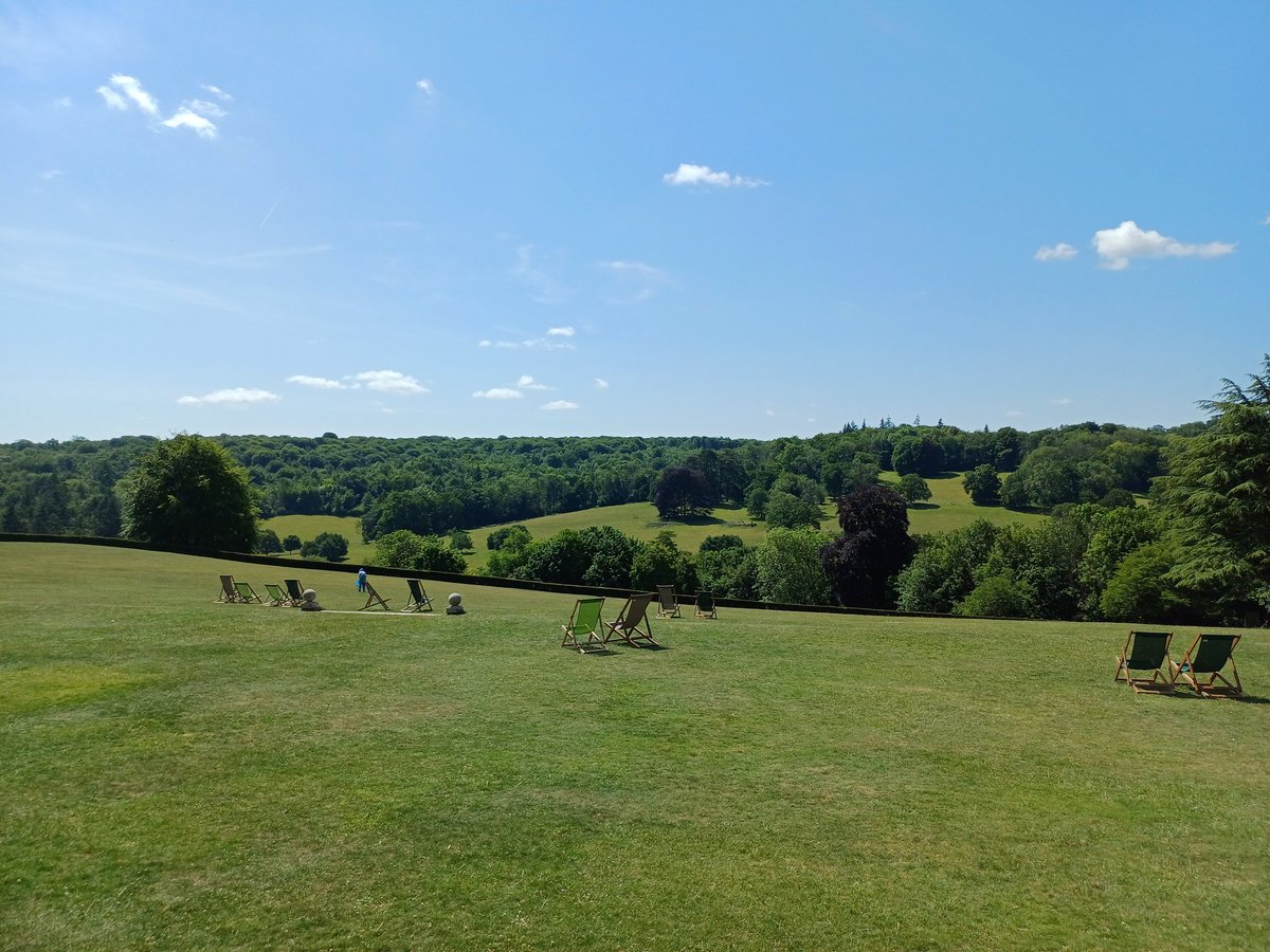 handsofmagic's tweet image. Some trees from today's little amble - too hot to go too far #TreeClub #PolesdonLacey