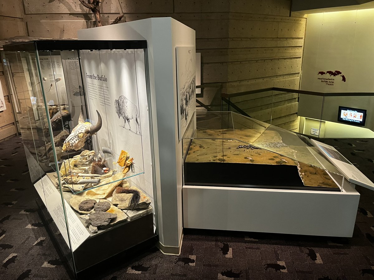 Alberta Arts, Culture and Status of Women (@albertaculture) on Twitter photo 🦬 The new Buffalo Hunt Exhibit is now open at <a href="/HeadSmashedIn/">HeadSmashedIn</a>.
Alberta is proud to support Indigenous heritage through this powerful exhibit, which highlights more than 6,000 years of Blackfoot knowledge and traditions.
Read more: bit.ly/447EUFQ
<a href="/ABTourismSport/">Alberta Tourism and Sport</a> 🦬 The new Buffalo Hunt Exhibit is now open at <a href="/HeadSmashedIn/">HeadSmashedIn</a>.
Alberta is proud to support Indigenous heritage through this powerful exhibit, which highlights more than 6,000 years of Blackfoot knowledge and traditions.
Read more: bit.ly/447EUFQ
<a href="/ABTourismSport/">Alberta Tourism and Sport</a>