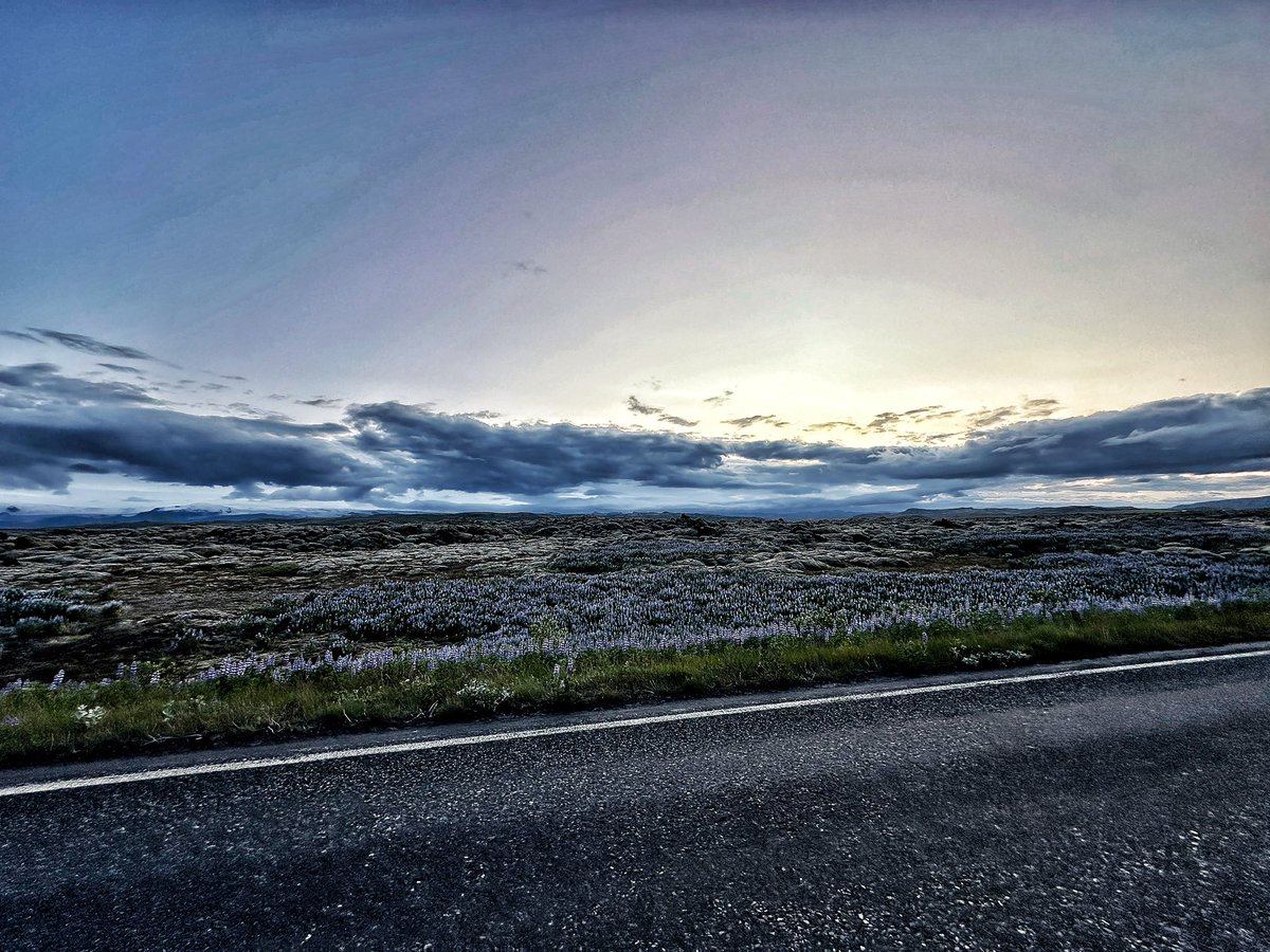 My beautiful little bolt hole. Although spent 5hrs here in last 26. 🫩