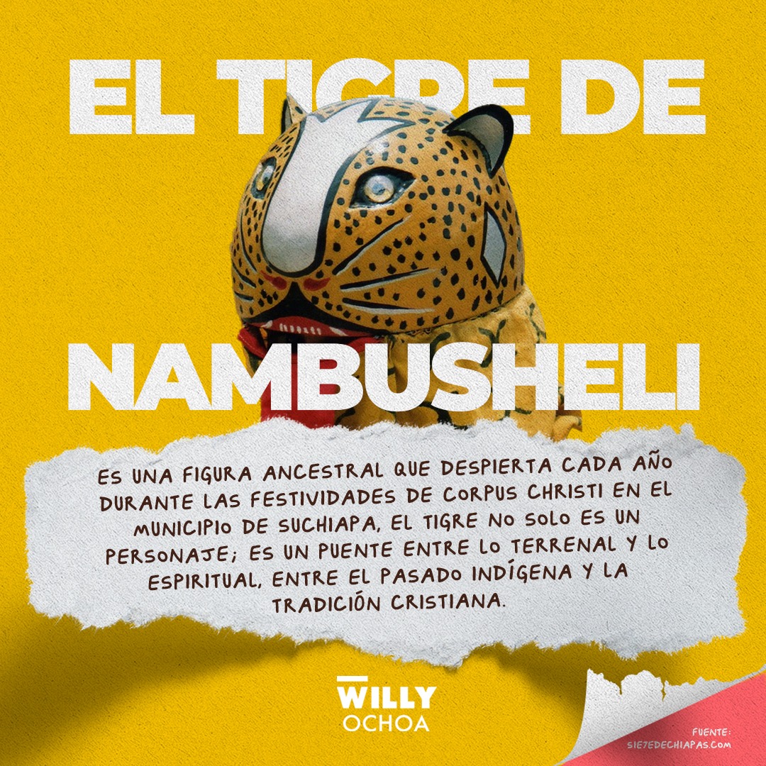 En #Suchiapa, el Tigre de Nambusheli ya despertó.
Con el inicio de Corpus Christi, celebramos una de las tradiciones más poderosas y vivas de #Chiapas.
Orgullo, identidad y cultura que nos une.

¡Qué viva Suchiapa y sus raíces ancestrales!