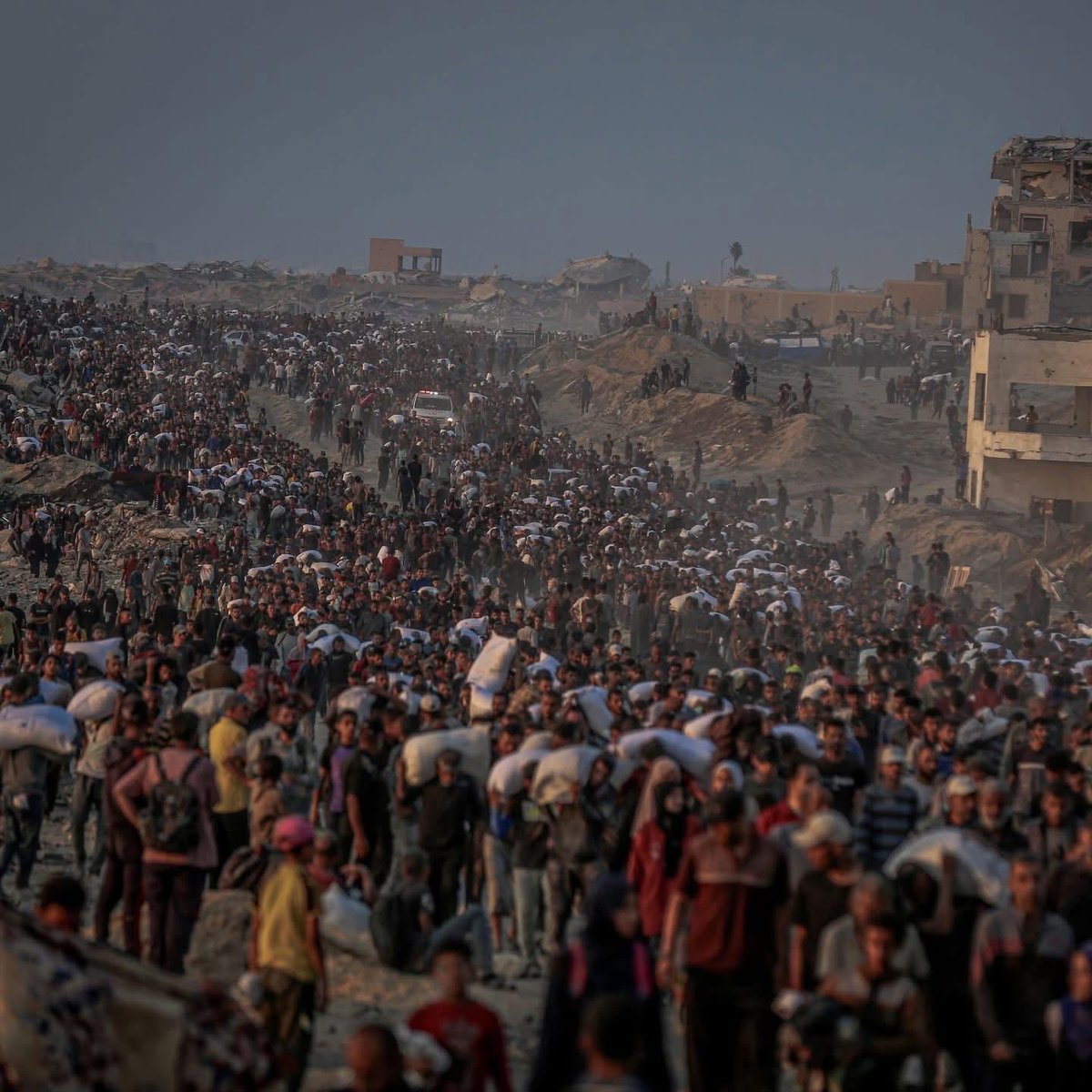 This photo is a clear explanation for inhuman US backed food distribution mechanisms in Gaza where thousands of people head to inhuman Gaza humanitarian foundation risking their lives to get parcel of flour .Seeking food from #GHF has become another reason for death in #Gaza