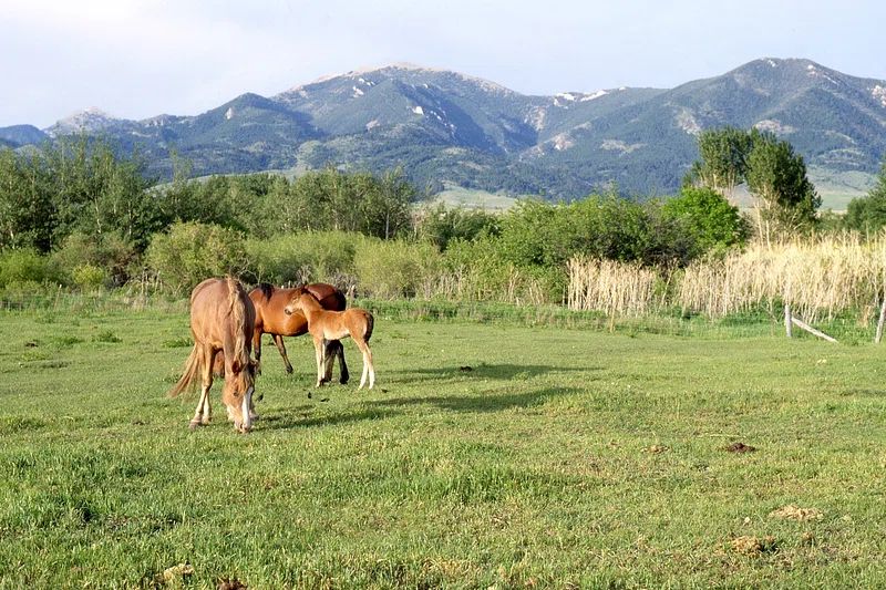 La Crosse Seed, A DLF Division tweet media