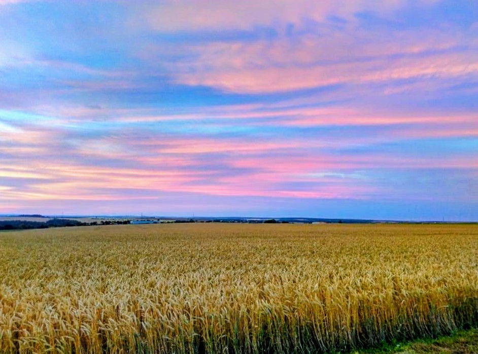 Glorious evening view