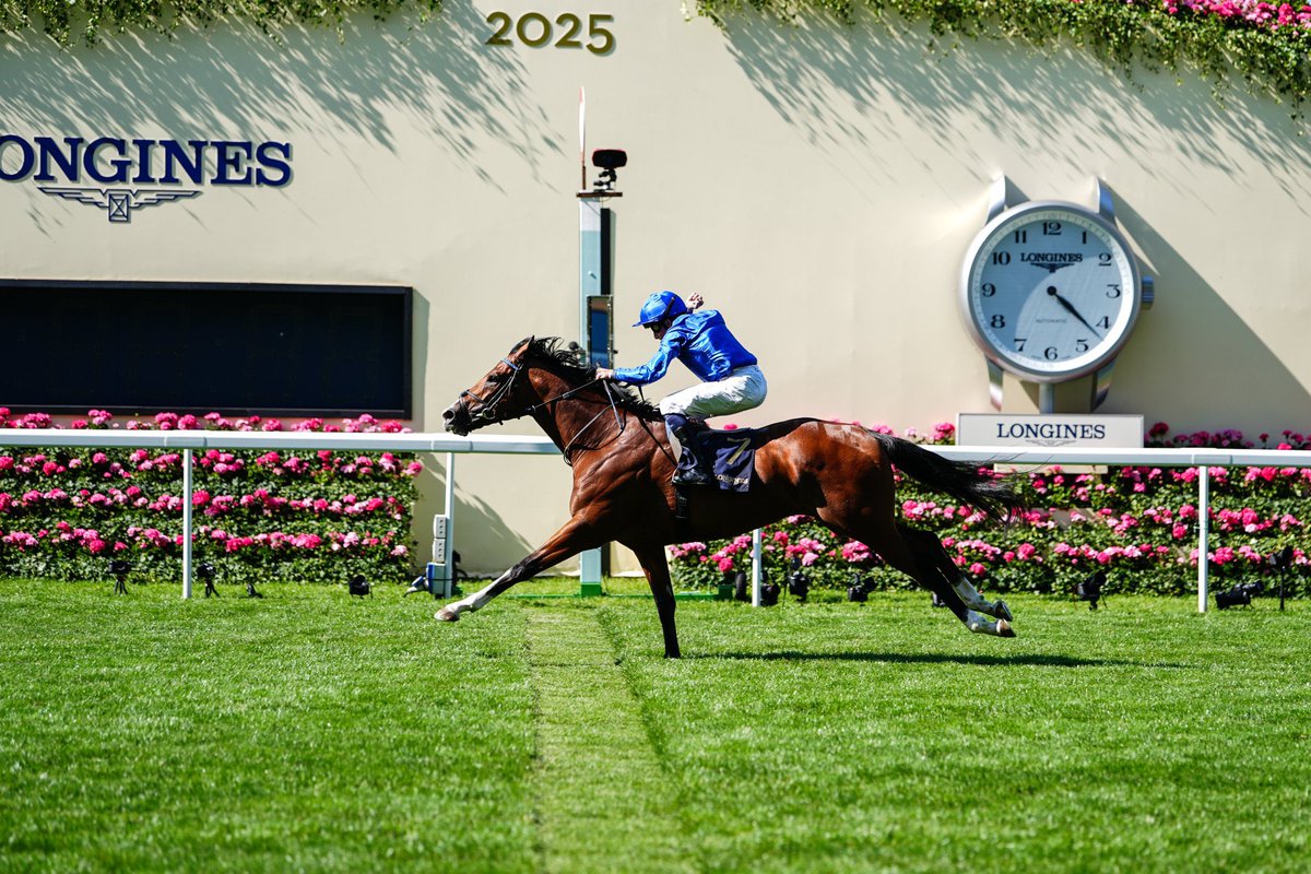Day 2 at Royal Ascot showcased the strength of Irish-based stallions siring the winners, marking a standout performance!

🏆 No Nay Never €125000
🏆 Wootton Bassett €300000
🏆 Nyquist €175000
🏆 Night Of Thunder €150000
🏆 Blue Point €100000
🏆 Blue Point €100000
🏆 Havana
