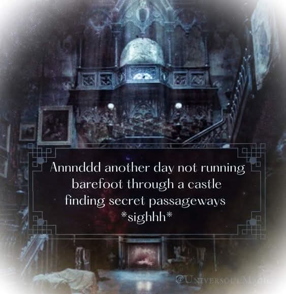 Nerdy bookworm (@alinaradusport) on Twitter photo 