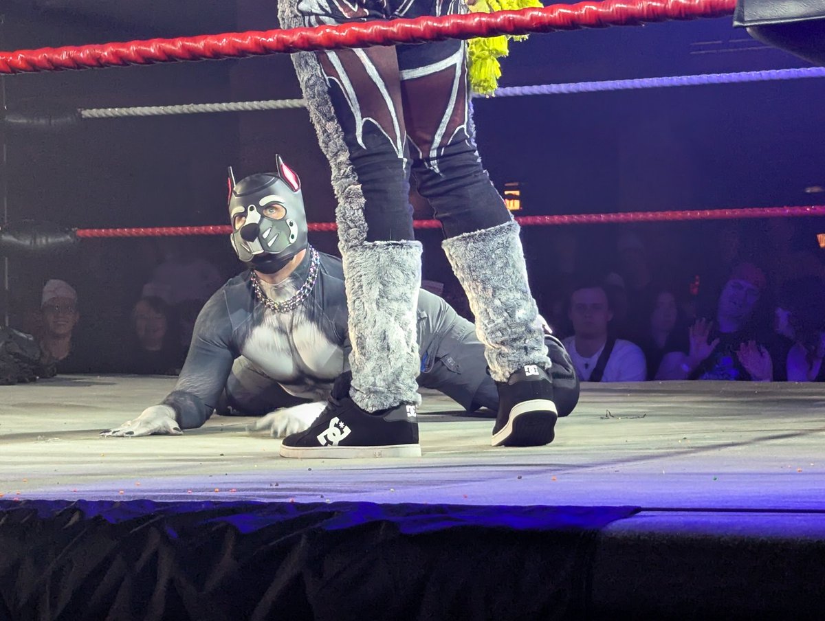 Bouncer.dog on bsky 🔜 COG A/B tweet media